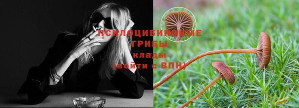 шишки Гусиноозёрск
