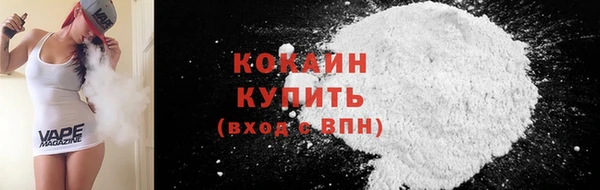 шишки Гусиноозёрск