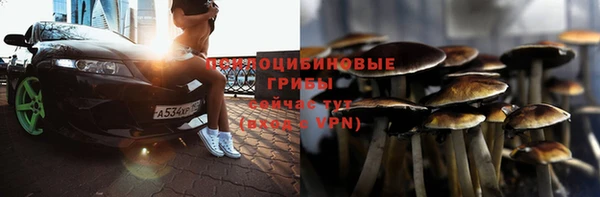 шишки Гусиноозёрск