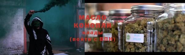 шишки Гусиноозёрск