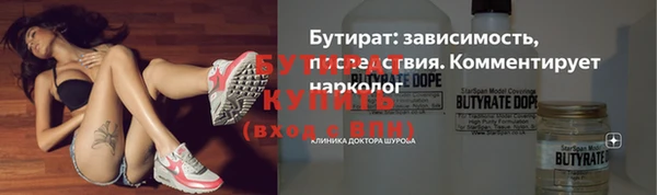 шишки Гусиноозёрск