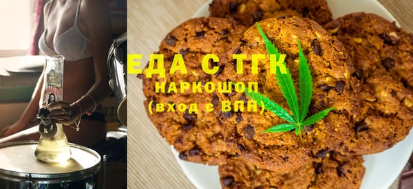 шишки Гусиноозёрск