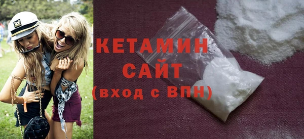 шишки Гусиноозёрск