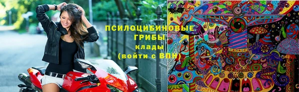 бутират Гусев