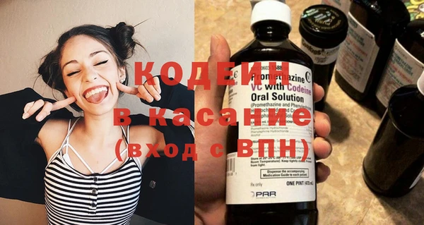 шишки Гусиноозёрск