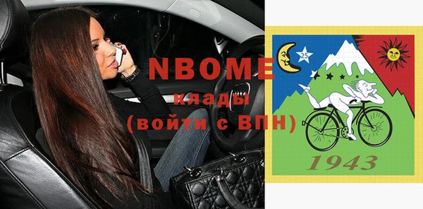 шишки Гусиноозёрск