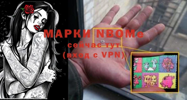 шишки Гусиноозёрск