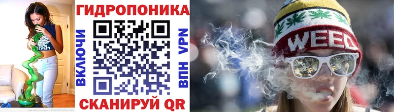 Марихуана THC 21%  Новоржев 
